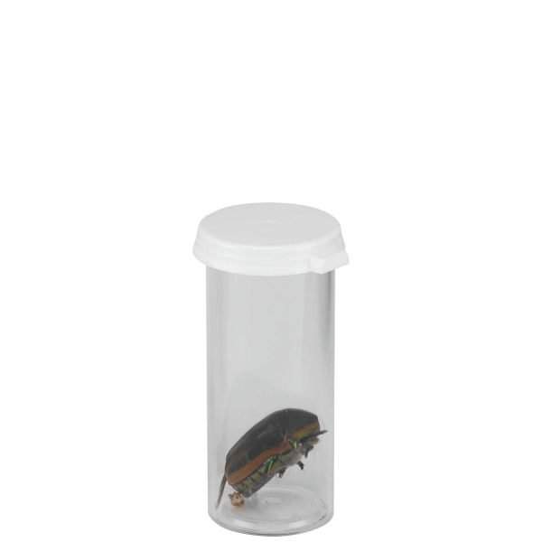Tubos Plasticos Para Insectos - Imagen 5