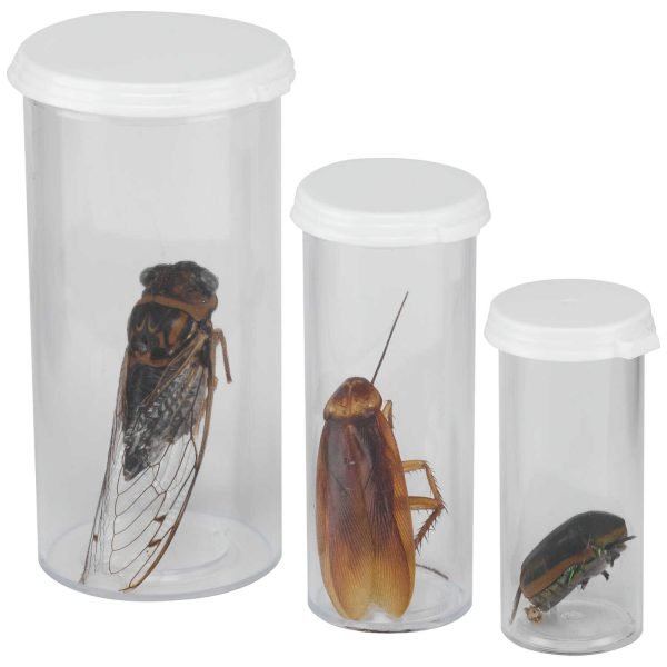 Tubos Plasticos Para Insectos - Imagen 2
