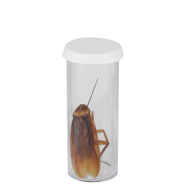 Tubos Plasticos Para Insectos - Imagen 4