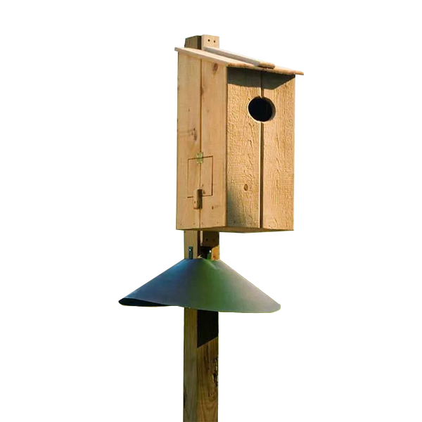 Caja de Anidacion para Pisingos Hecha en Madera de Cipres - Imagen 2