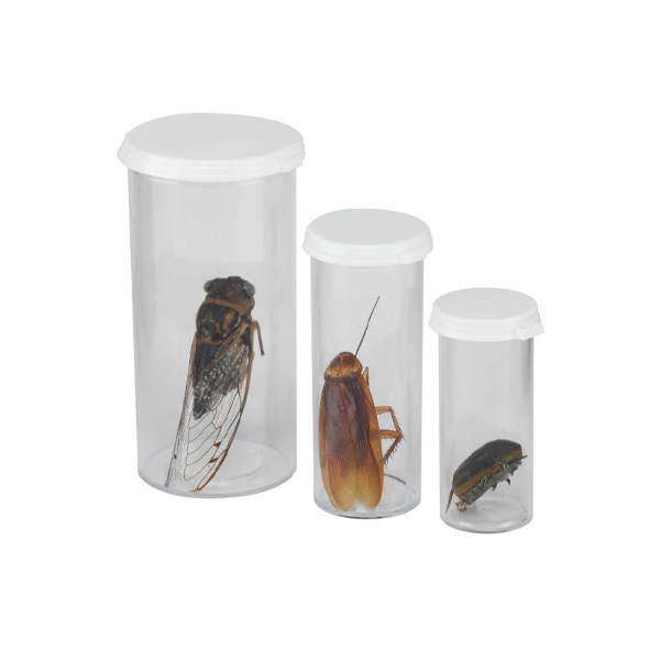 Tubos Plasticos Para Insectos