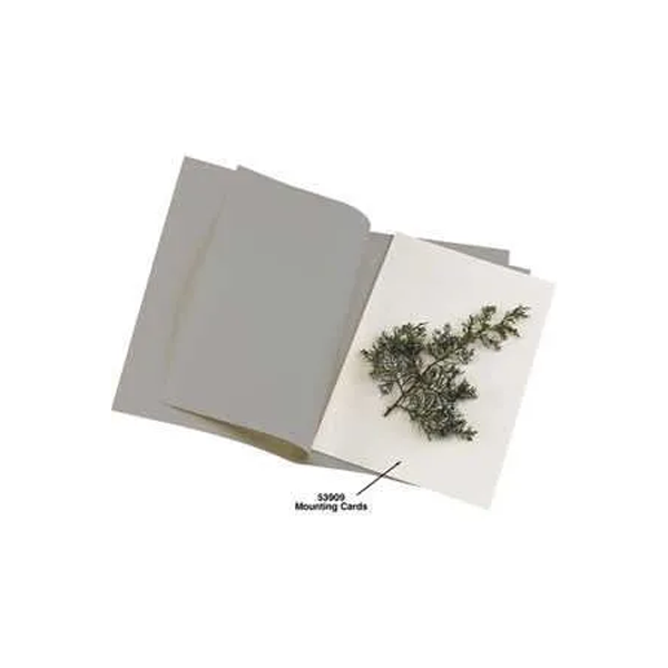 Tarjetas para montaje de muestras sin ácido