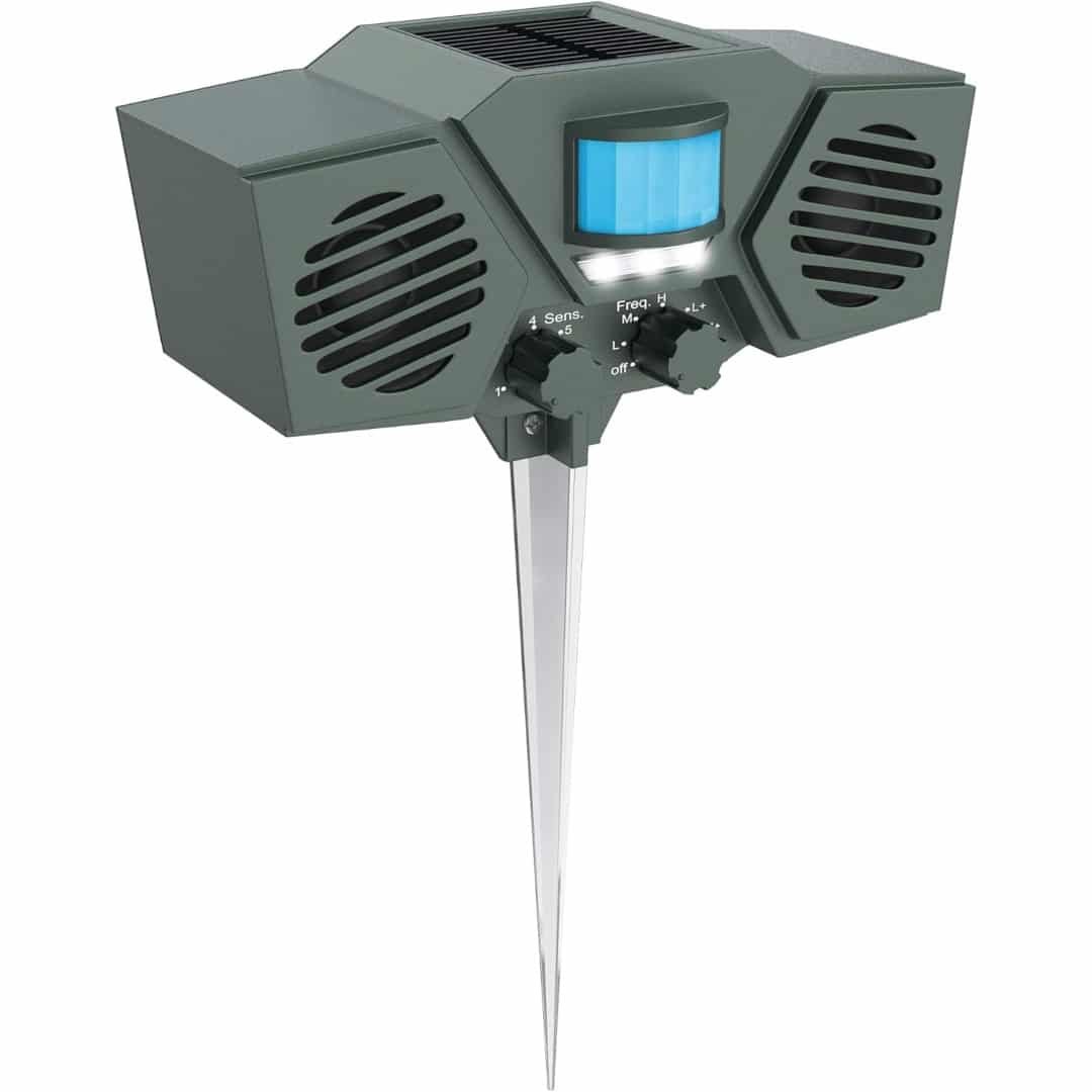 Ultrasonido Hoont Doble 1