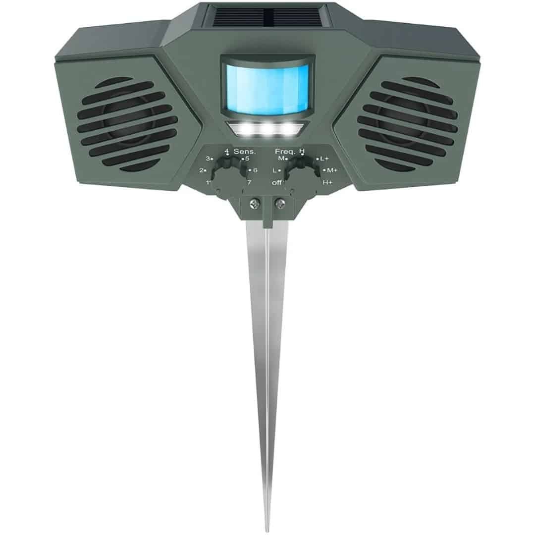 Ultrasonido Hoont Doble