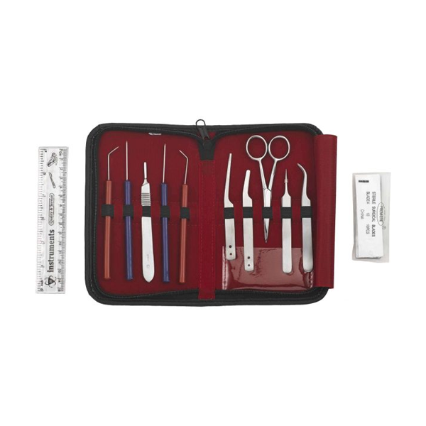Kit De Disección Entomológico Entomología Insectos