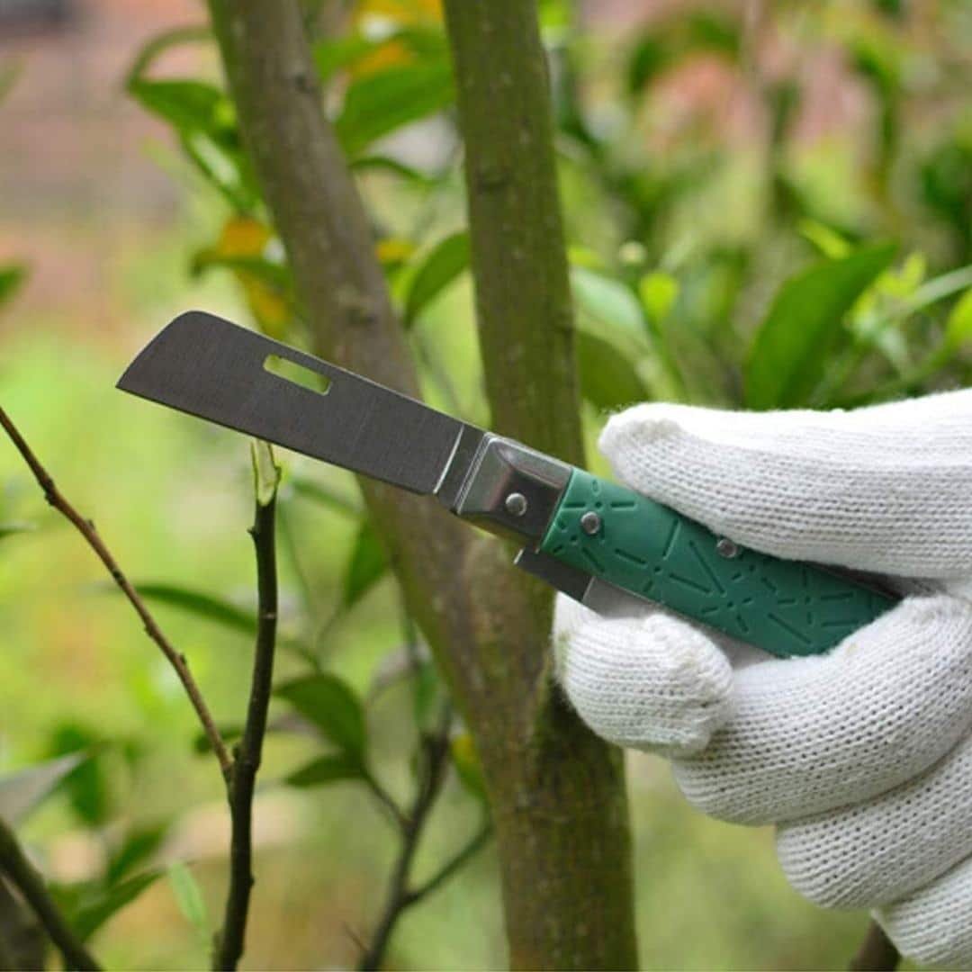 Navaja De Acero De Alto Carbono Ligero Para Injertar - Imagen 4