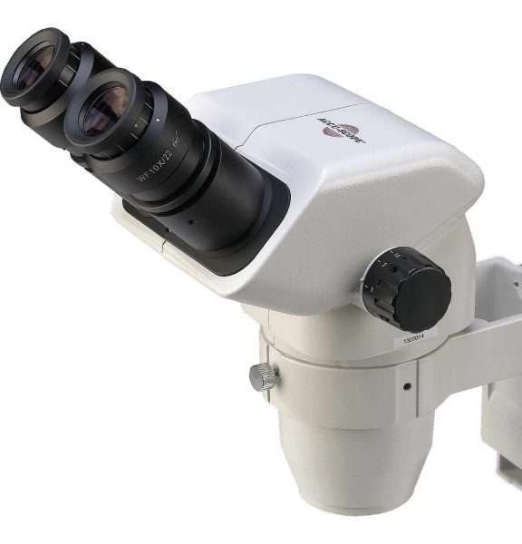 Microscopio Estéreo Con Zoom Binocular Accu-scope® - Imagen 3