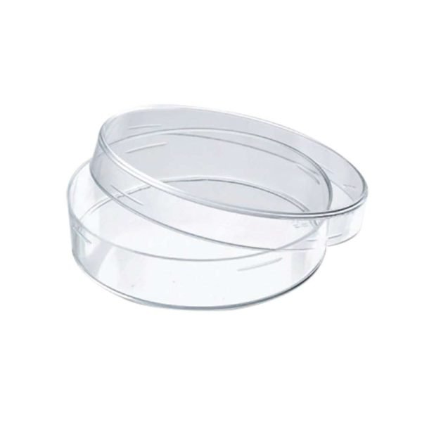 Caja De Petri En Vidrio De 60×15 Mm