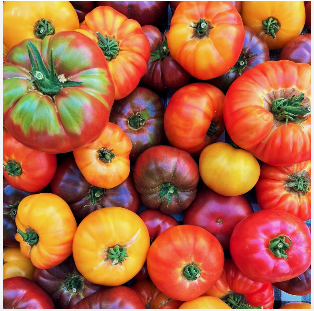 Semillas Exóticas De Tomates De Colores
