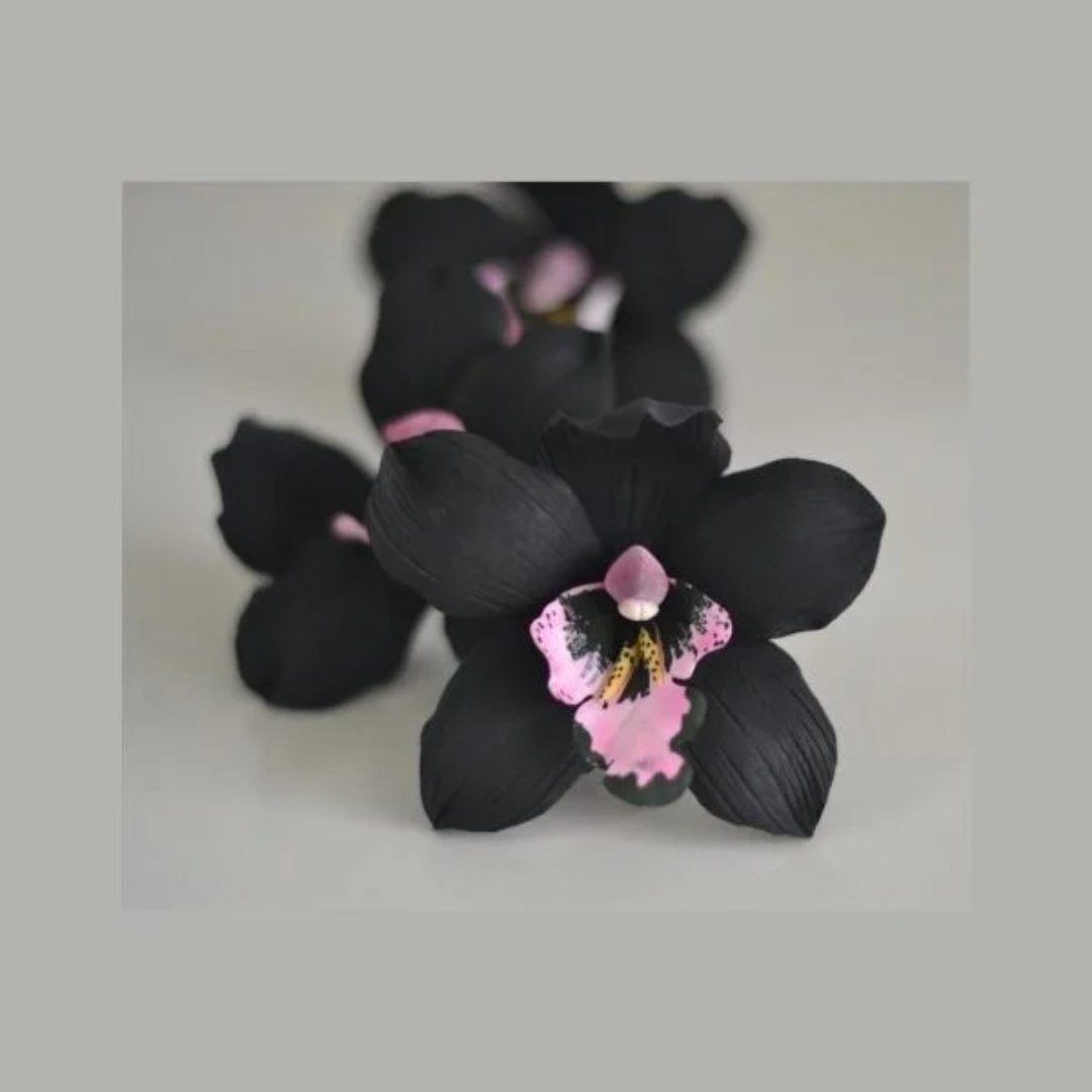 Semillas de orquídeas negras x100 para cultivo y propagación. Presentación de 100 semillas de una variedad comercial descrita como exótica.