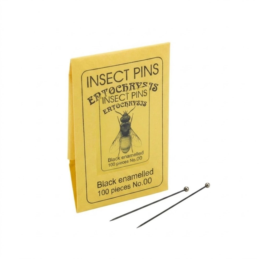 Alfileres de Insectos de Esmalte Negro Caja x 100