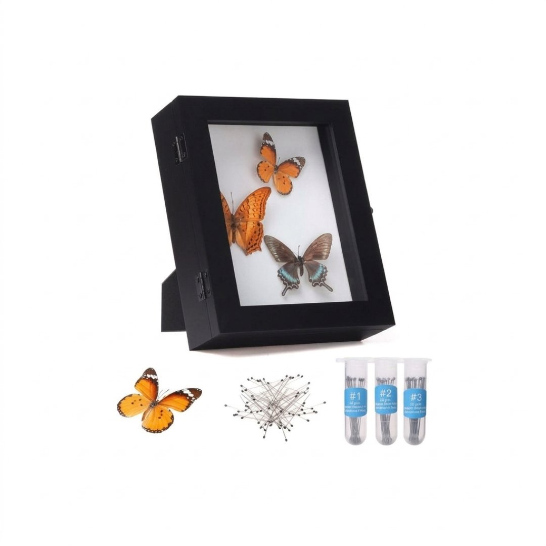 Vitrina de Insectos para Montaje en Pared EVA Acrílico