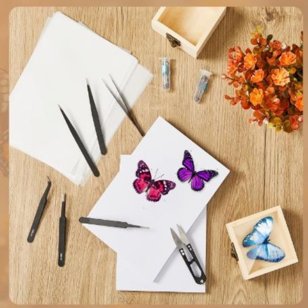 Kit De Herramientas Para Muestras Insectos 55 Piezas - Imagen 2