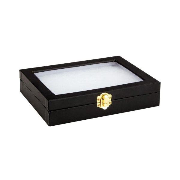 Caja Para Visualización De Insectos Vidrio - Imagen 6