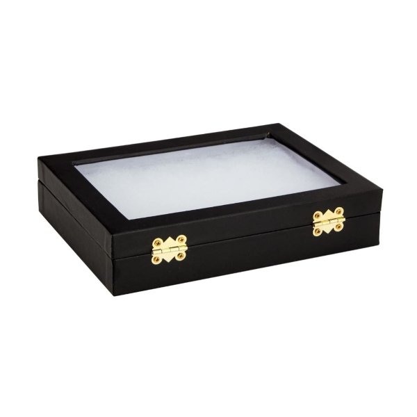 Caja Para Visualización De Insectos Vidrio - Imagen 5