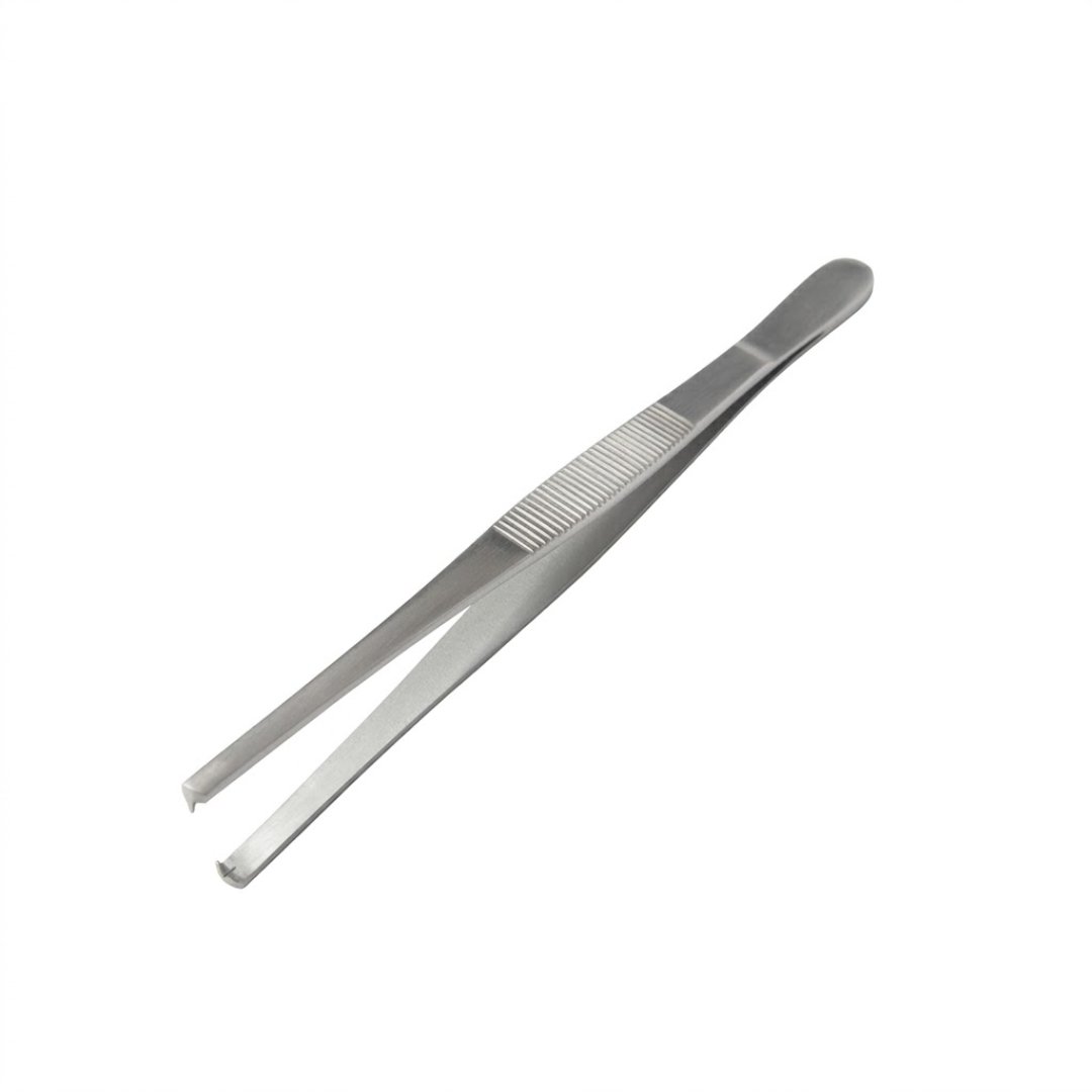 Pinza Recta con Diente 14 cm Entomología