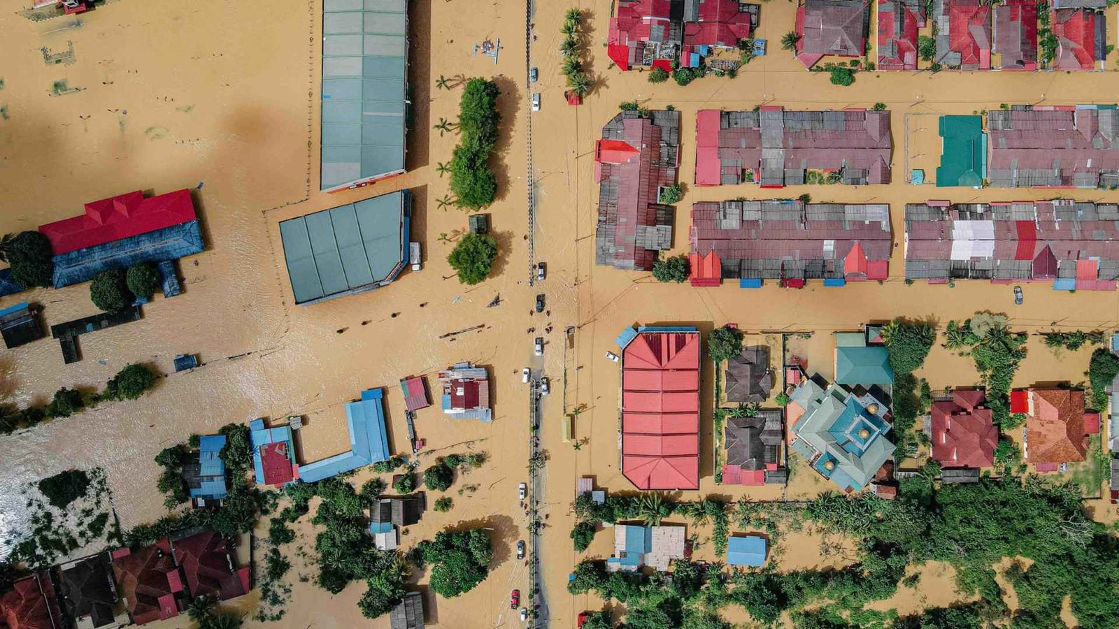 Como-recuperar-tu-finca-tras-las-inundaciones-de-2026-guia-tecnica-para-el-ganadero-colombiano.jpg