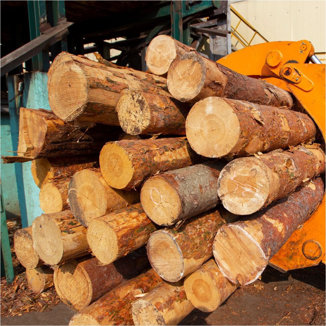 Maquinas de cosecha y transformación de la madera
