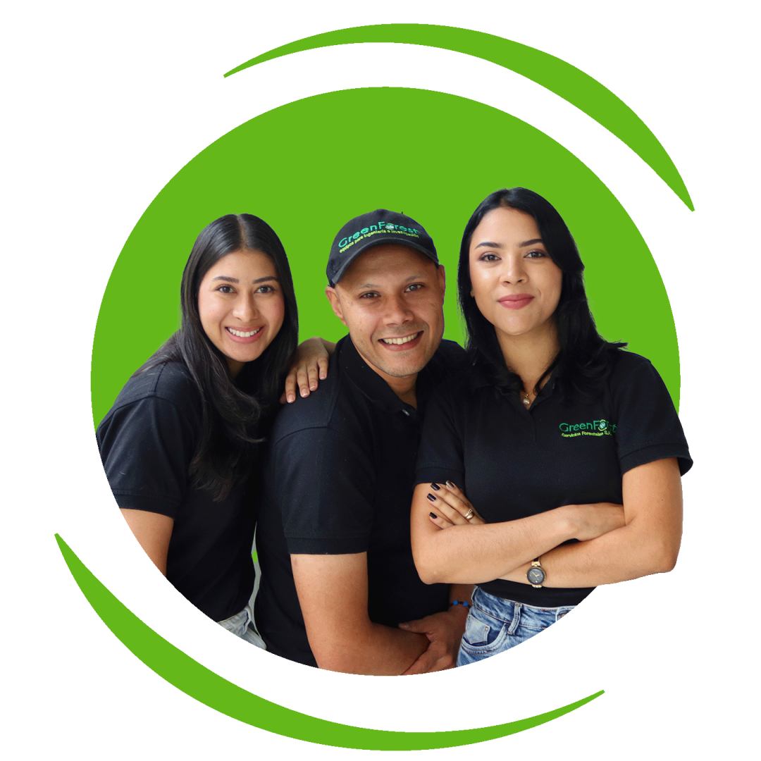 Asesoria, tienda Forestal